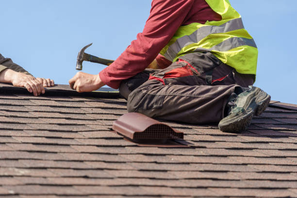 Best Gutter Installation and Roofing  in Hohenwald, TN