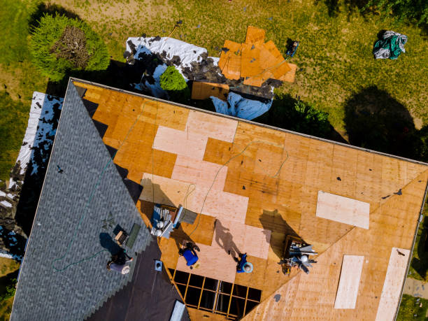 Best Affordable Roofing Company  in Hohenwald, TN