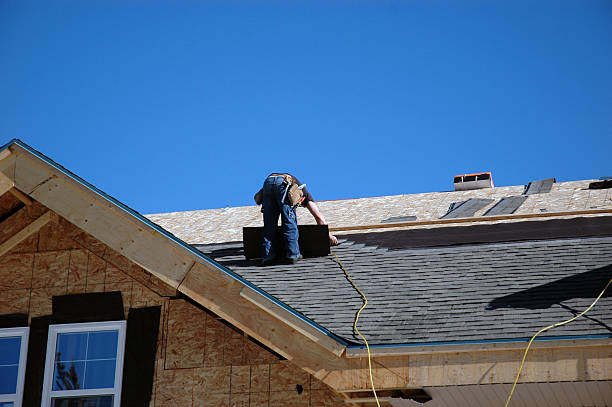 Best Roof Gutter Cleaning  in Hohenwald, TN