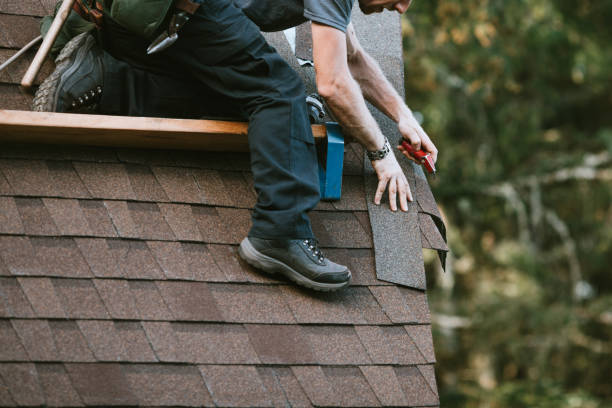 Best Metal Roofing Contractor  in Hohenwald, TN